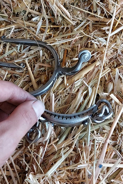 cadenas barbadas majarzuelas cadenas barbadas majarzuelas