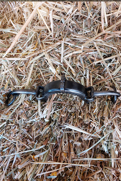 piralillo largo piralillo largo